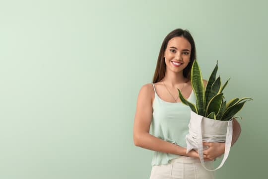 Why Plants Make the Perfect Corporate Gift