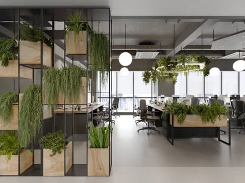 Biophilic Design: Transforming Corporate Spaces with Plants