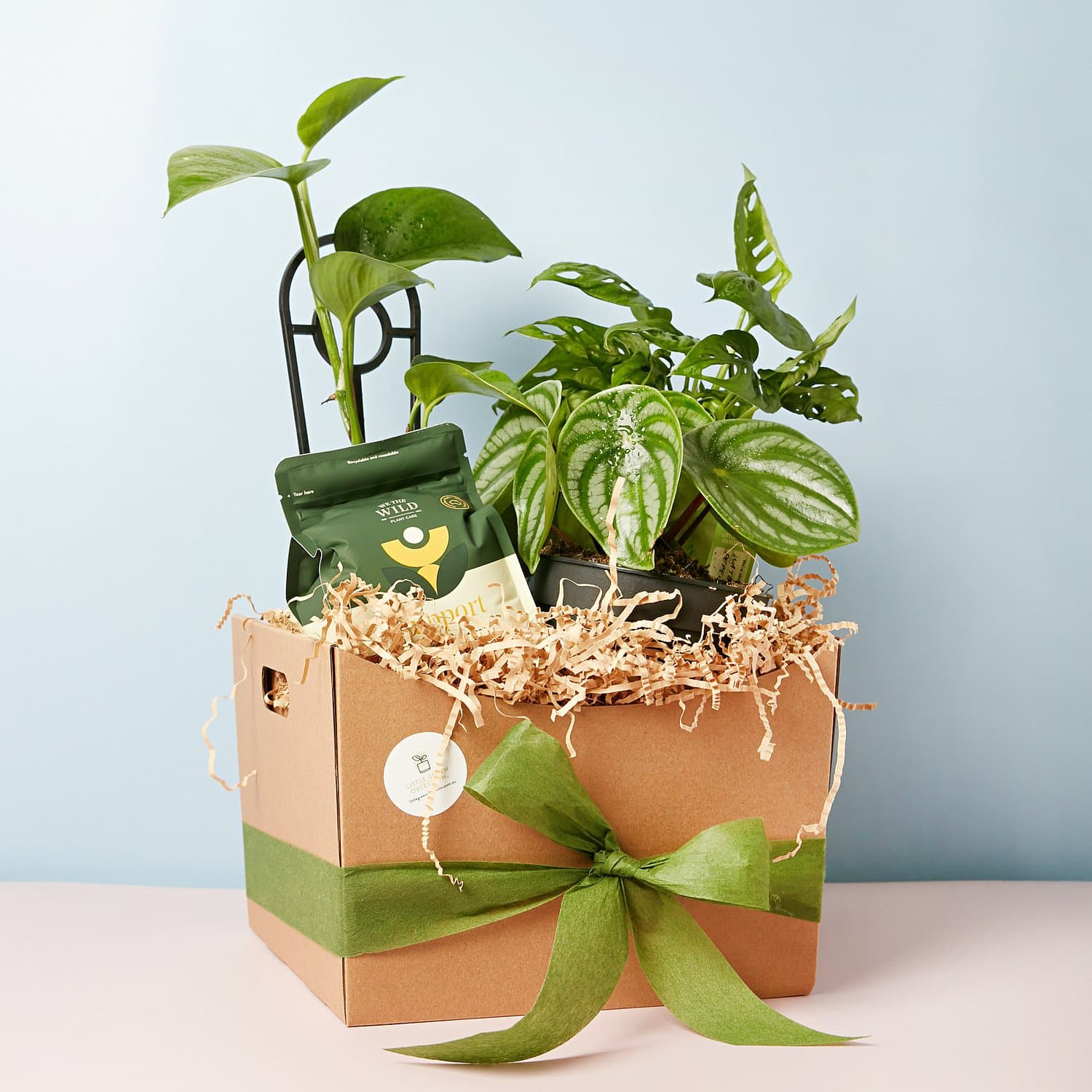 The Psychology of Plant Gifting: Why Plants Create Lasting Impressions