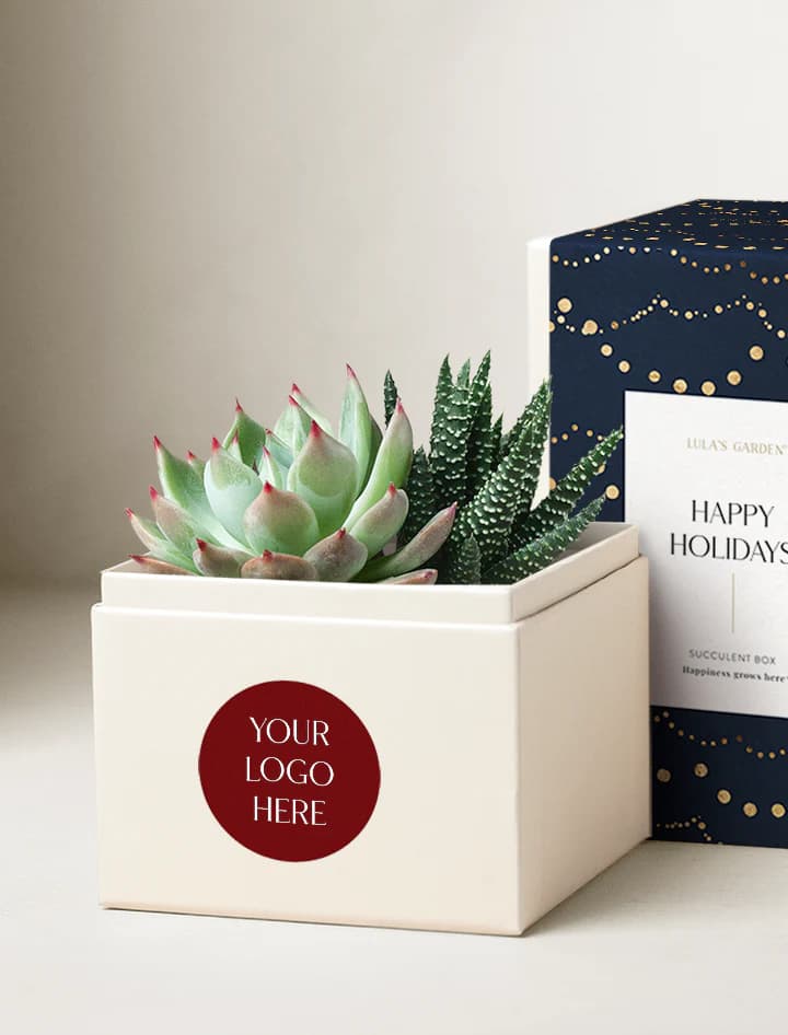 Creating Memorable Client Gifts: The Power of Personalization