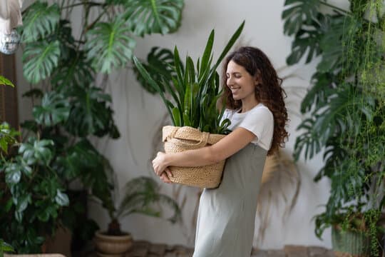 The Rise of Plant Parenting: Why Younger Generations Love Green Gifts