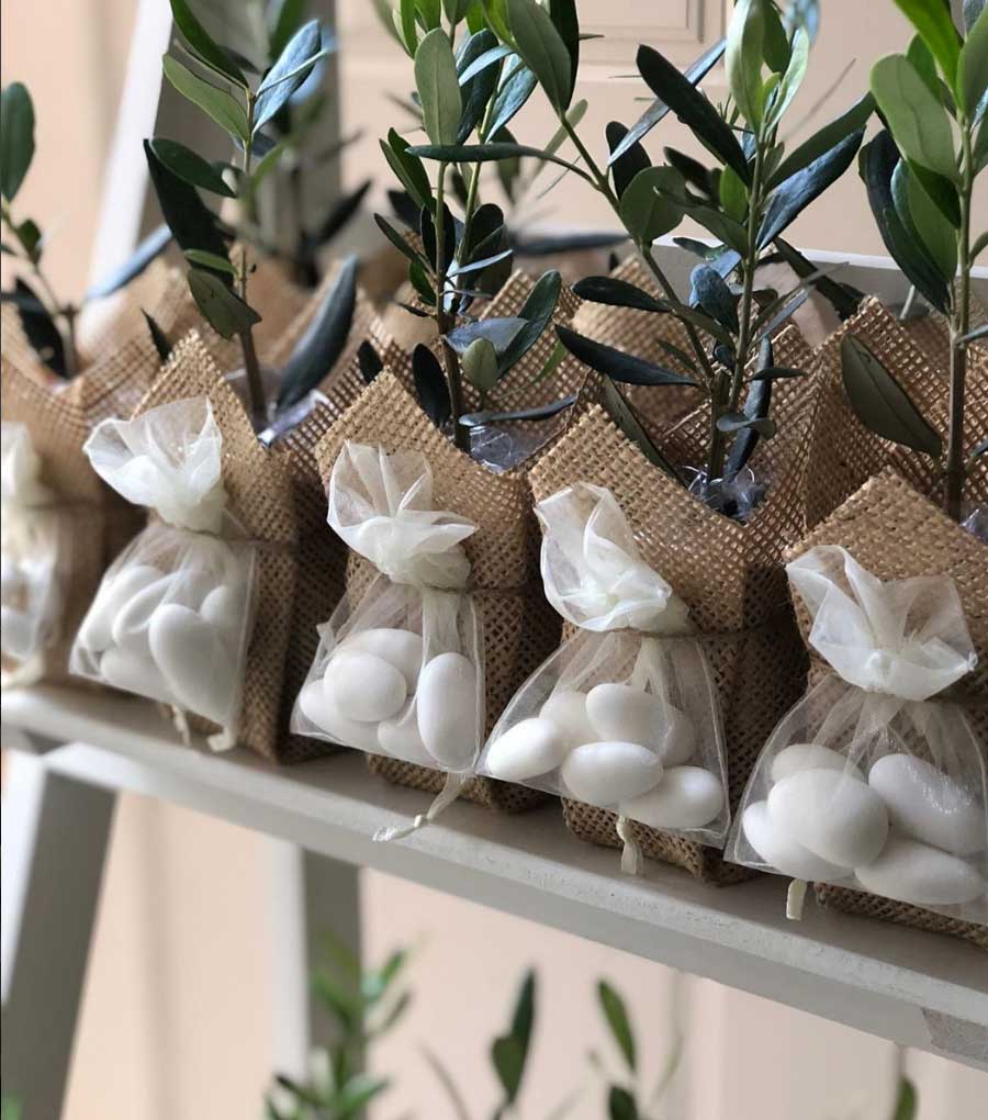 Incorporating Plants into Destination Weddings in Greece