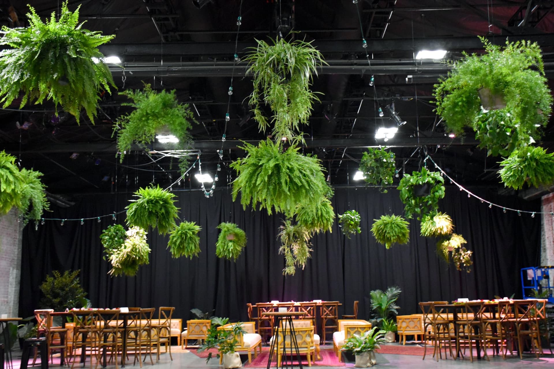 Sustainable Events: How Plant Gifts Are Changing the Industry