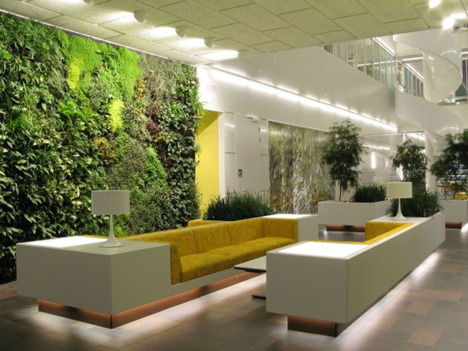 Air-Purifying Plants in Hospitality Spaces
