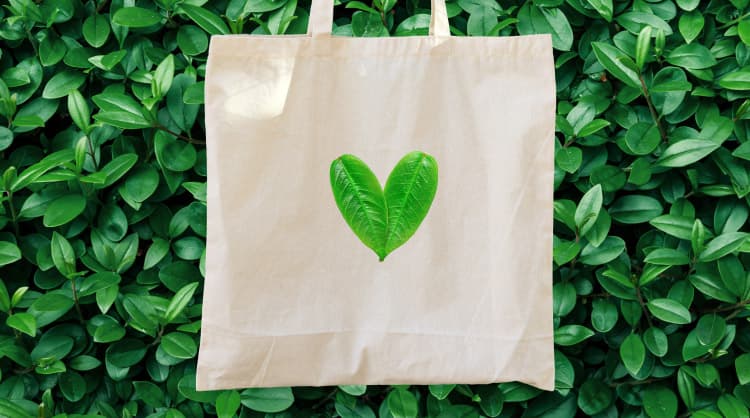 5 Unique Employee Appreciation Gift Ideas