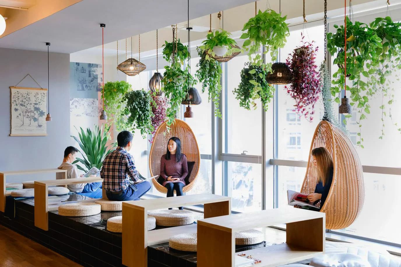 How Indoor Plants Boost Employee Productivity and Wellness