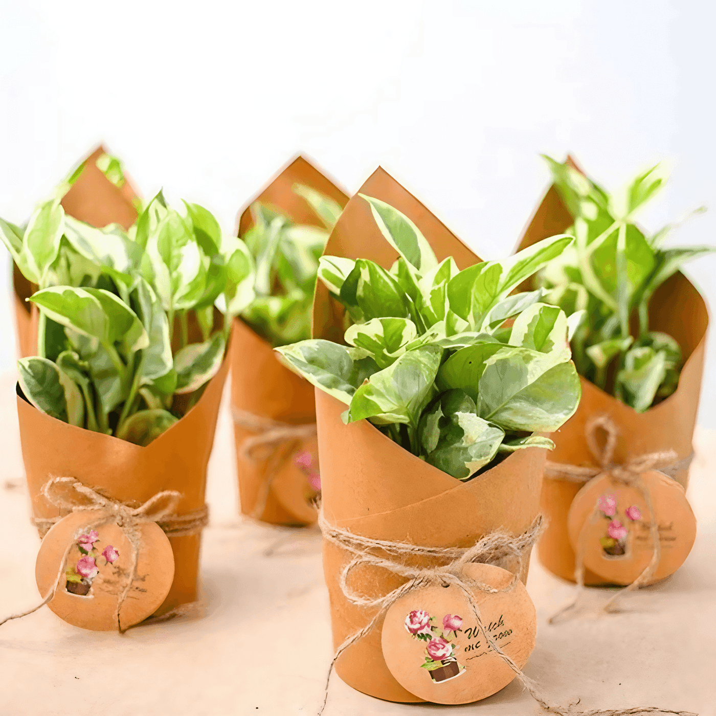 Sustainable Event Planning: Green Gift Ideas That Make Impact