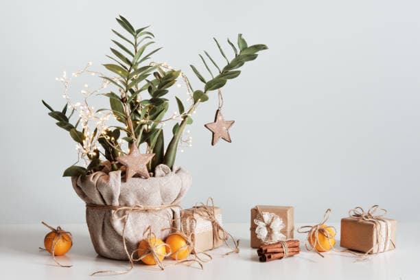 Seasonal Plant Gifting: Year-Round Gift Ideas