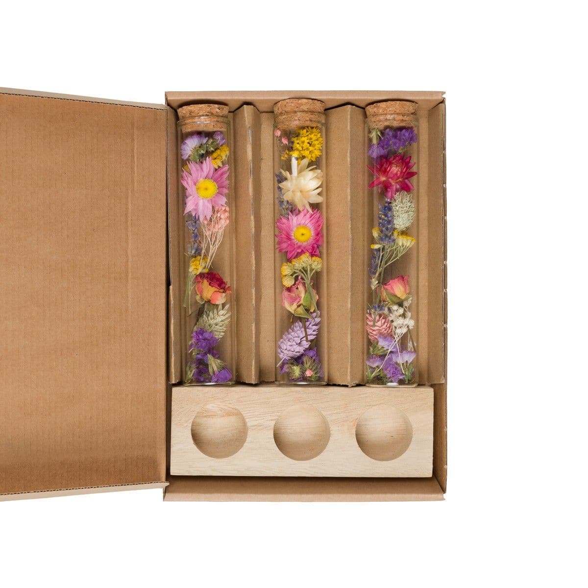 Dried flowers in glass test tubes with wooden display stand