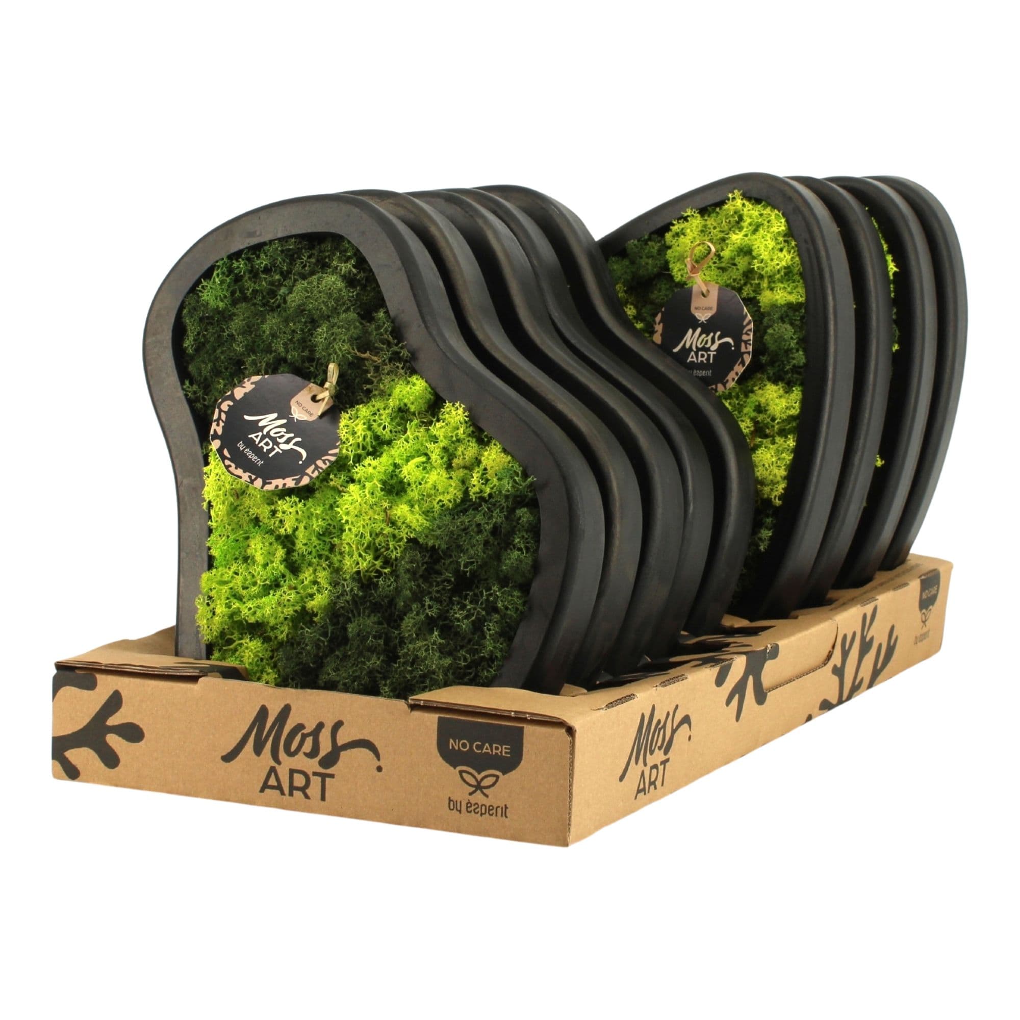 Moss Art Decor