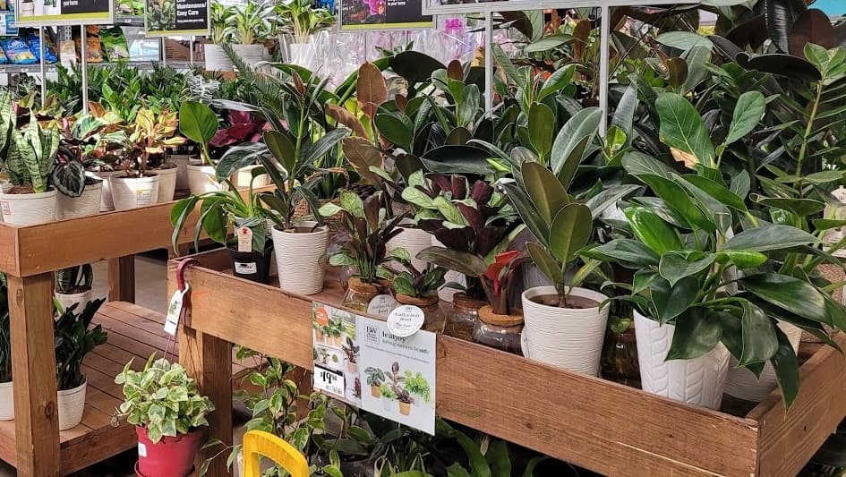 PlantBox Branded Displays