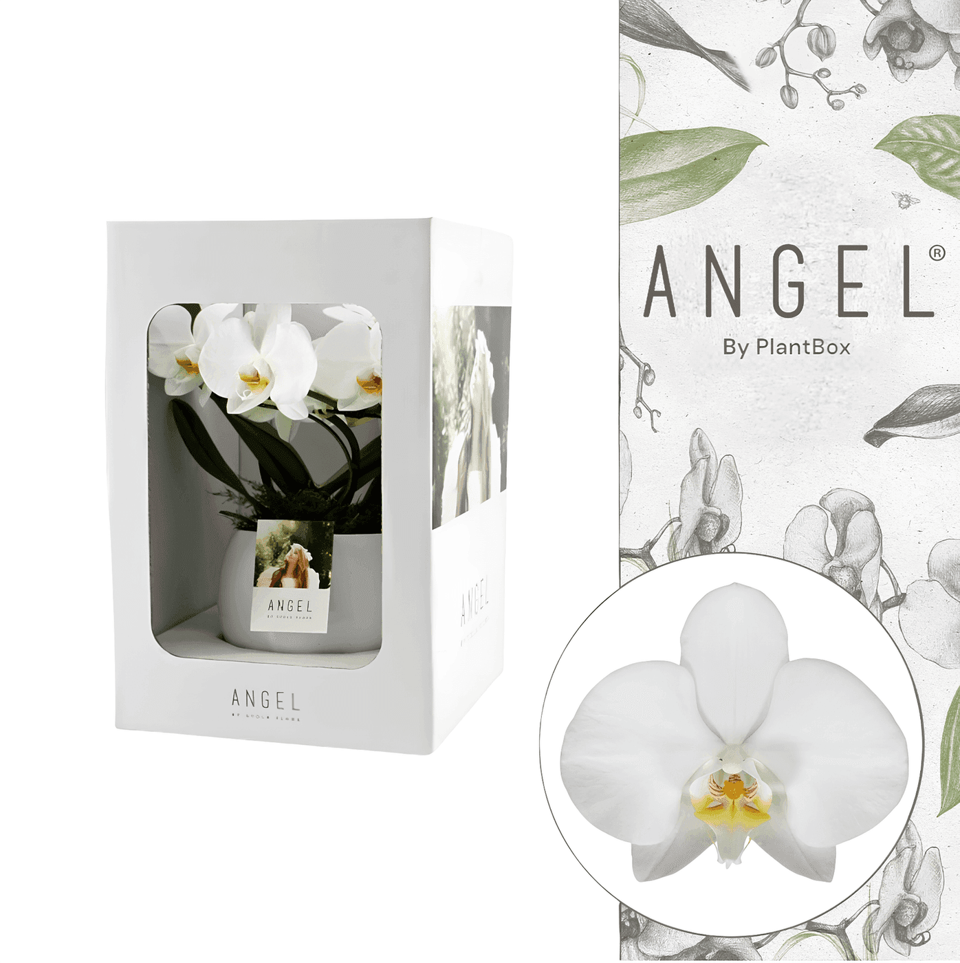 Premium PlantBox Products