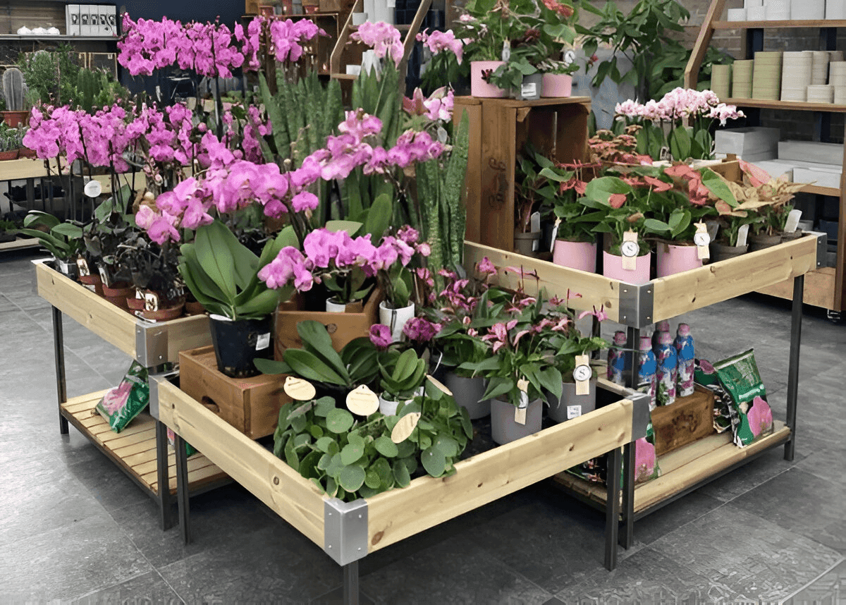Plant display for resellers