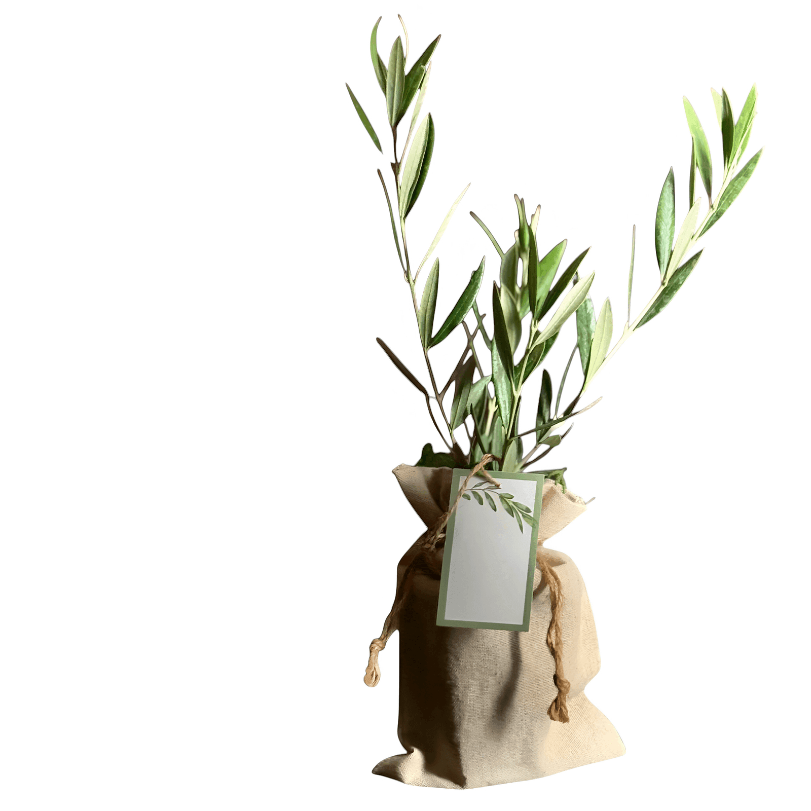 Branded gift favour