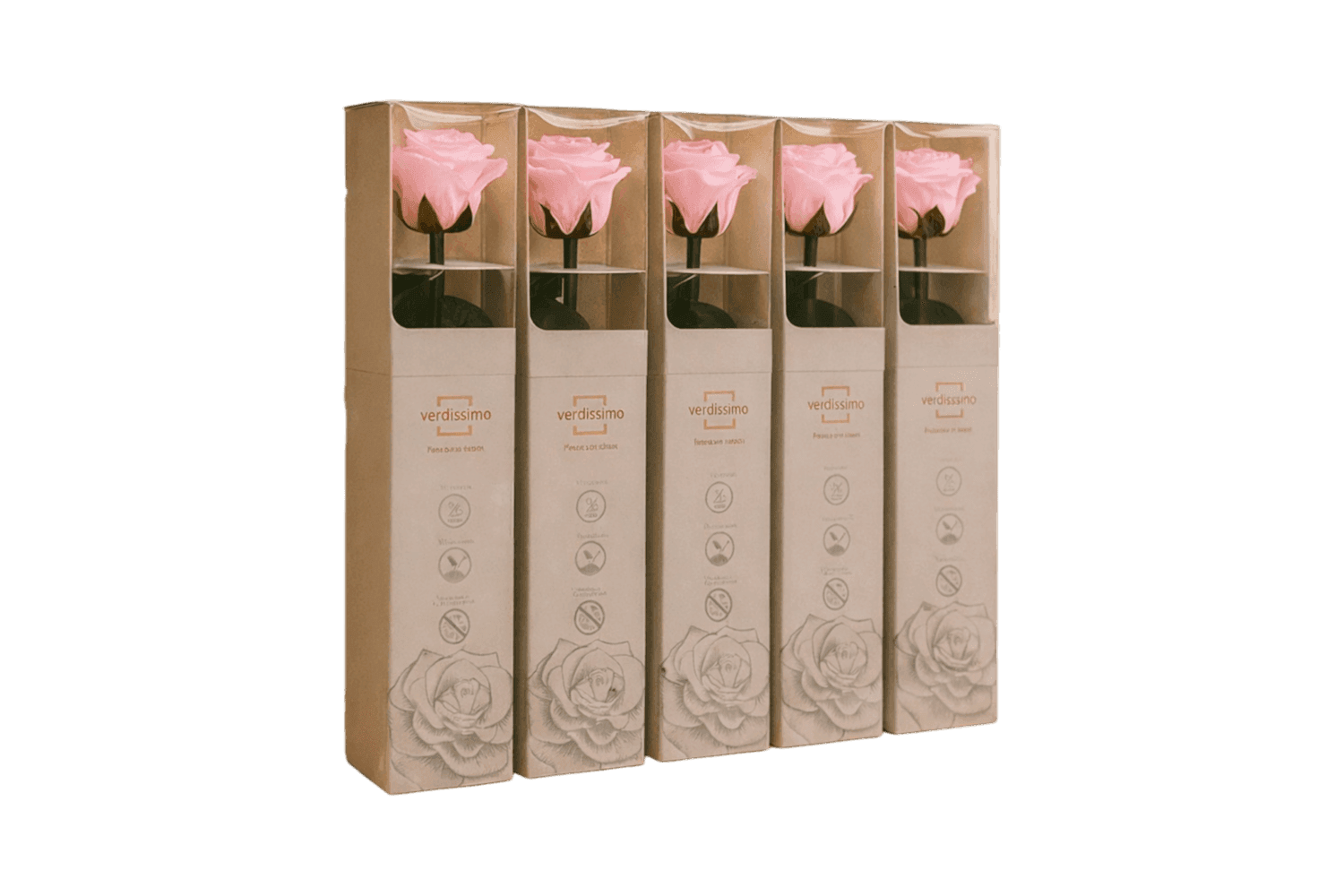 Pink Preserved Rose Collection