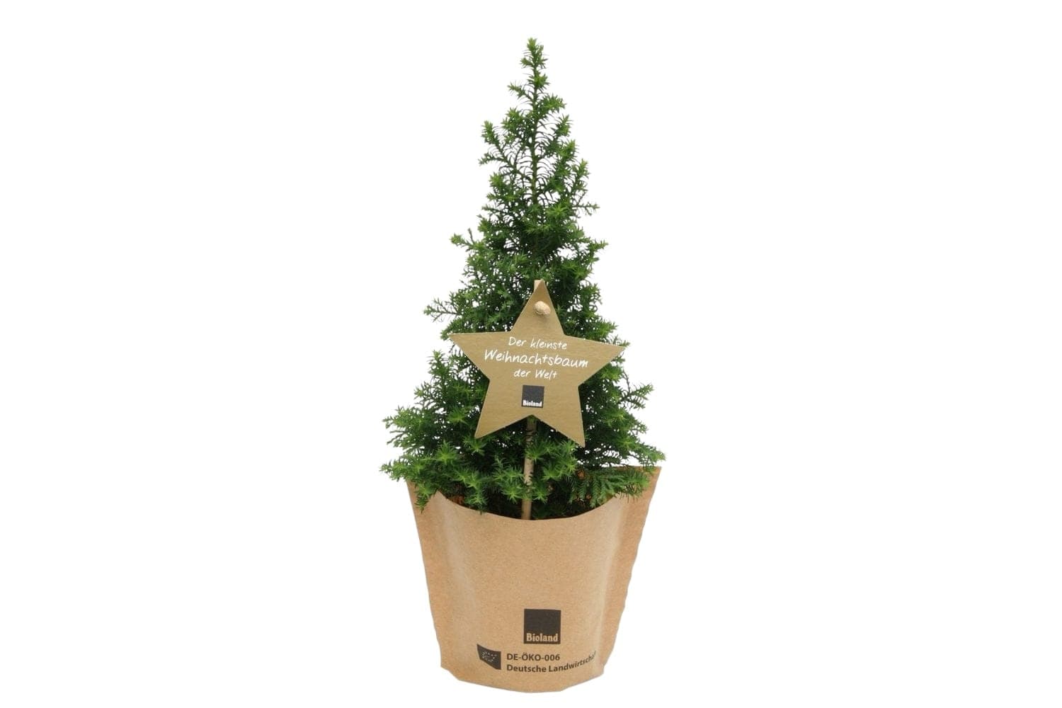 Mini Christmas Tree