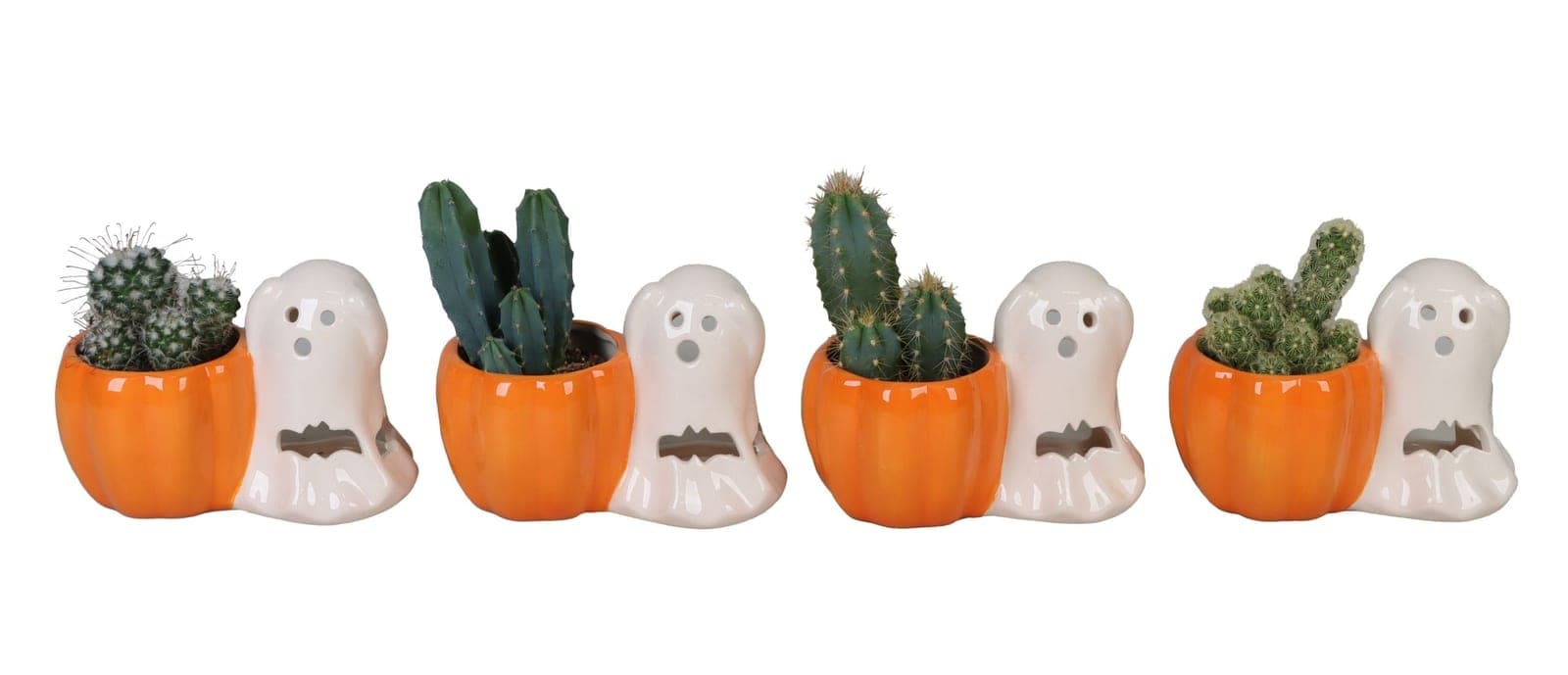 Ghost & Pumpkin Cactus Set