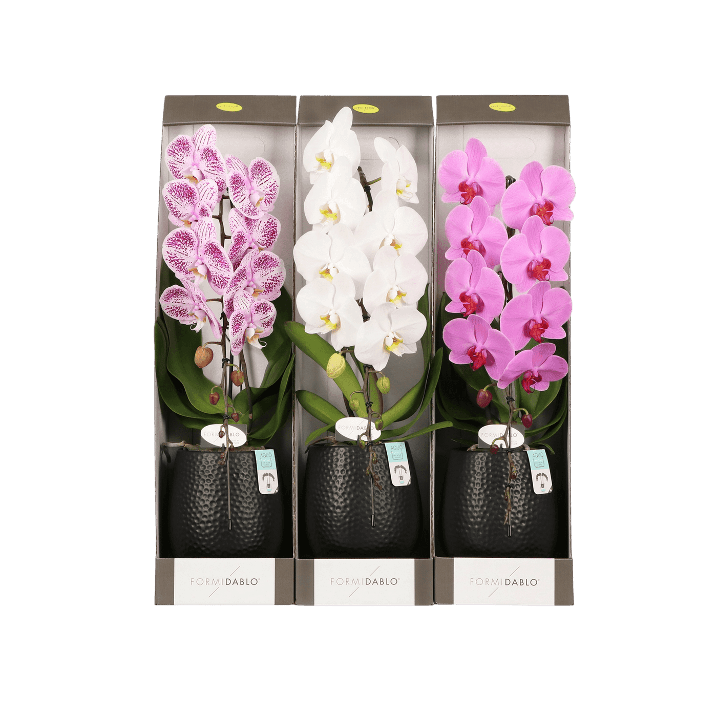 Elegant Mother's Day Floral Arrangement